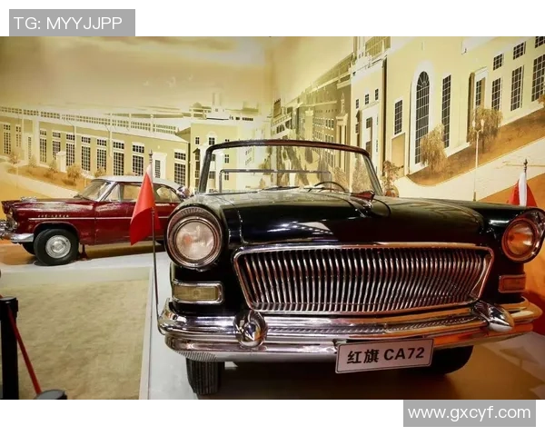 深圳排球队的崛起之路：从默默无闻到总决赛的辉煌历程